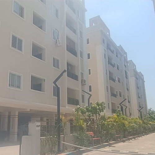 TAADSM Holdings gallery